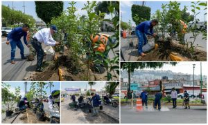 Screenshot_2025-07-20-02-36-55-992_com.google.android.apps.docs.editors.slides