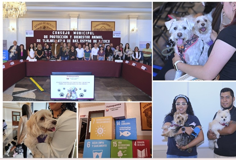 Screenshot_2025-07-31-20-12-13-999_com.google.android.apps.docs.editors.slides