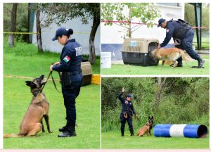 Screenshot_2025-09-09-22-55-22-249_com.google.android.apps.docs.editors.slides