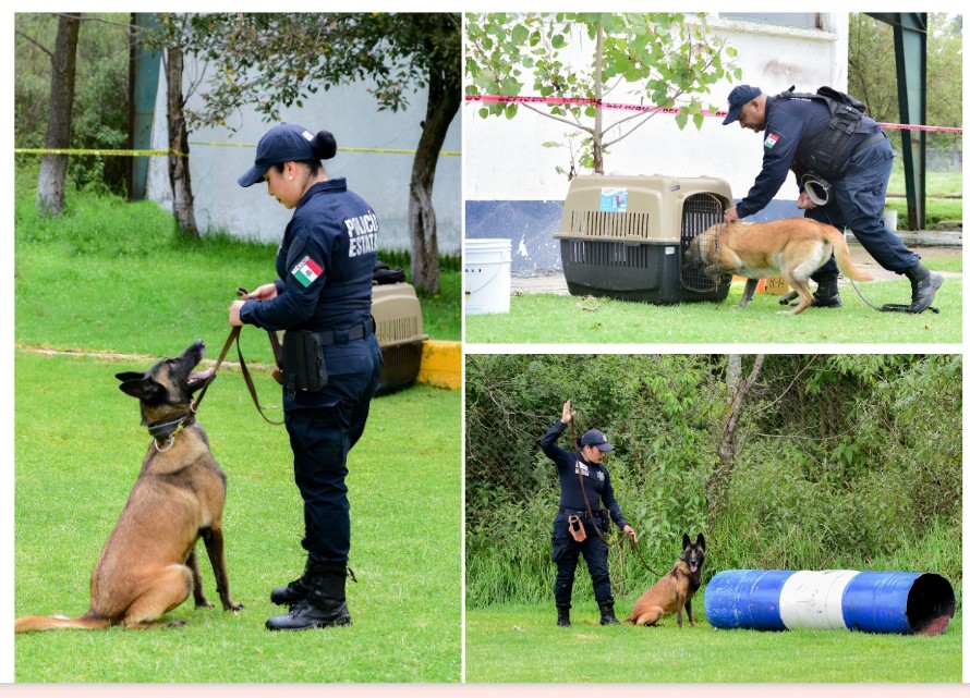 Screenshot_2025-09-09-22-55-22-249_com.google.android.apps.docs.editors.slides