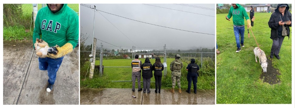 Screenshot_2025-09-27-02-24-55-820_com.google.android.apps.docs.editors.slides