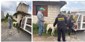 Screenshot_2025-10-02-08-51-02-711_com.google.android.apps.docs.editors.slides