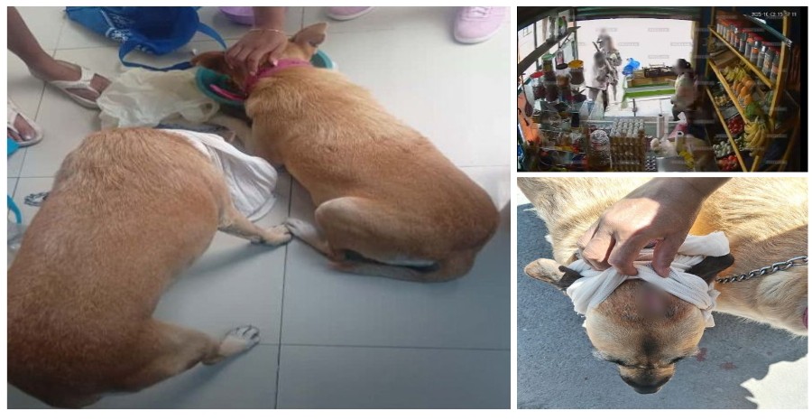 Screenshot_2025-10-07-23-10-24-665_com.google.android.apps.docs.editors.slides