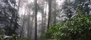 Screenshot_2025-12-29-21-24-47-614_com.google.android.googlequicksearchbox