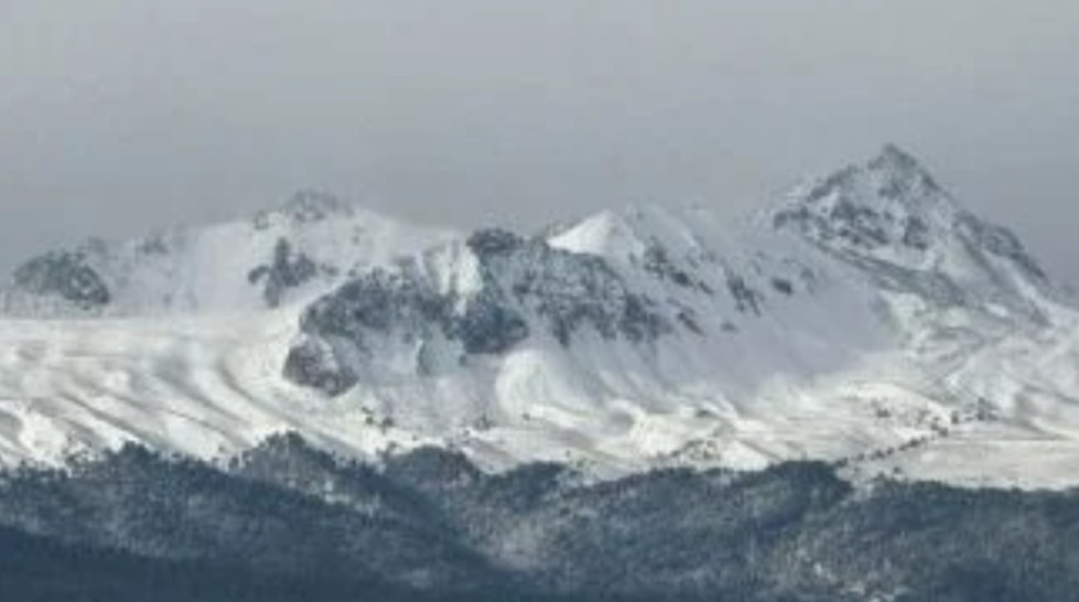 Screenshot_2026-01-11-21-36-38-215_com.google.android.googlequicksearchbox