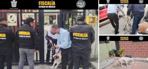 Screenshot_2026-01-16-17-51-57-326_com.google.android.apps.docs.editors.slides