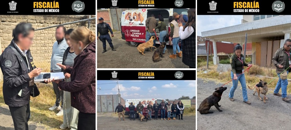 Screenshot_2026-01-18-19-14-35-468_com.google.android.apps.docs.editors.slides