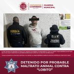 GUARDIA MUNICIPAL DETIENE A PROBABLE AGRESOR DE “LOBITO” TRAS OPERATIVO COORDINADO