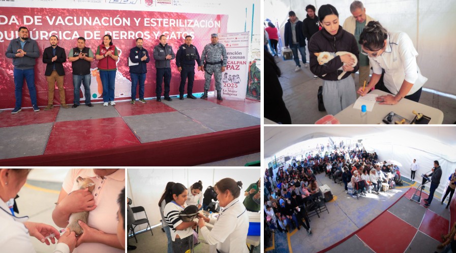 Screenshot_2026-02-02-15-17-49-091_com.google.android.apps.docs.editors.slides