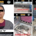 FISCALÍA EDOMÉX RESCATA A 102 ANIMALES DE PREDIO UBICADO EN EL MUNICIPIO DE TULTEPEC