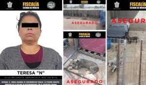 Screenshot_2026-02-09-18-56-53-987_com.google.android.apps.docs.editors.slides