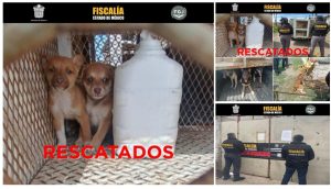 Screenshot_2026-02-11-16-44-00-643_com.google.android.apps.docs.editors.slides