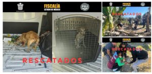 Screenshot_2026-02-24-02-24-04-365_com.google.android.apps.docs.editors.slides