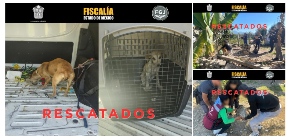 Screenshot_2026-02-24-02-24-04-365_com.google.android.apps.docs.editors.slides