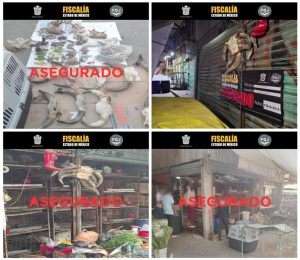 Screenshot_2026-02-24-22-10-26-241_com.google.android.apps.docs.editors.slides