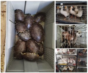 Screenshot_2026-03-23-16-31-25-632_com.google.android.apps.docs.editors.slides