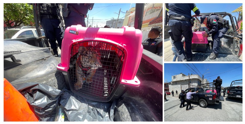 Screenshot_2026-03-26-14-28-13-785_com.google.android.apps.docs.editors.slides