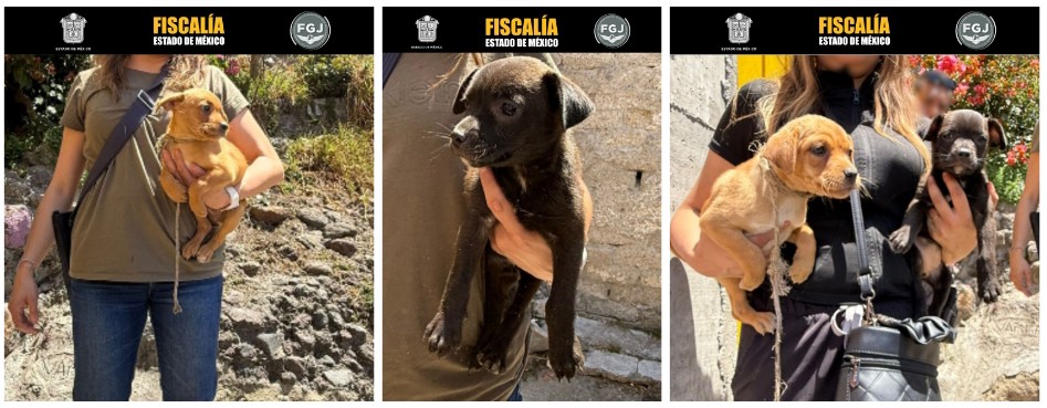 Screenshot_2026-03-31-16-23-50-412_com.google.android.apps.docs.editors.slides