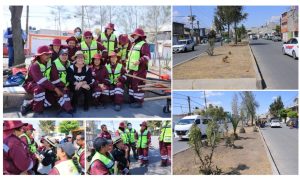 Screenshot_2026-04-08-17-52-16-902_com.google.android.apps.docs.editors.slides