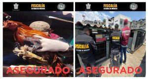 Screenshot_2026-04-25-20-21-26-500_com.google.android.apps.docs.editors.slides